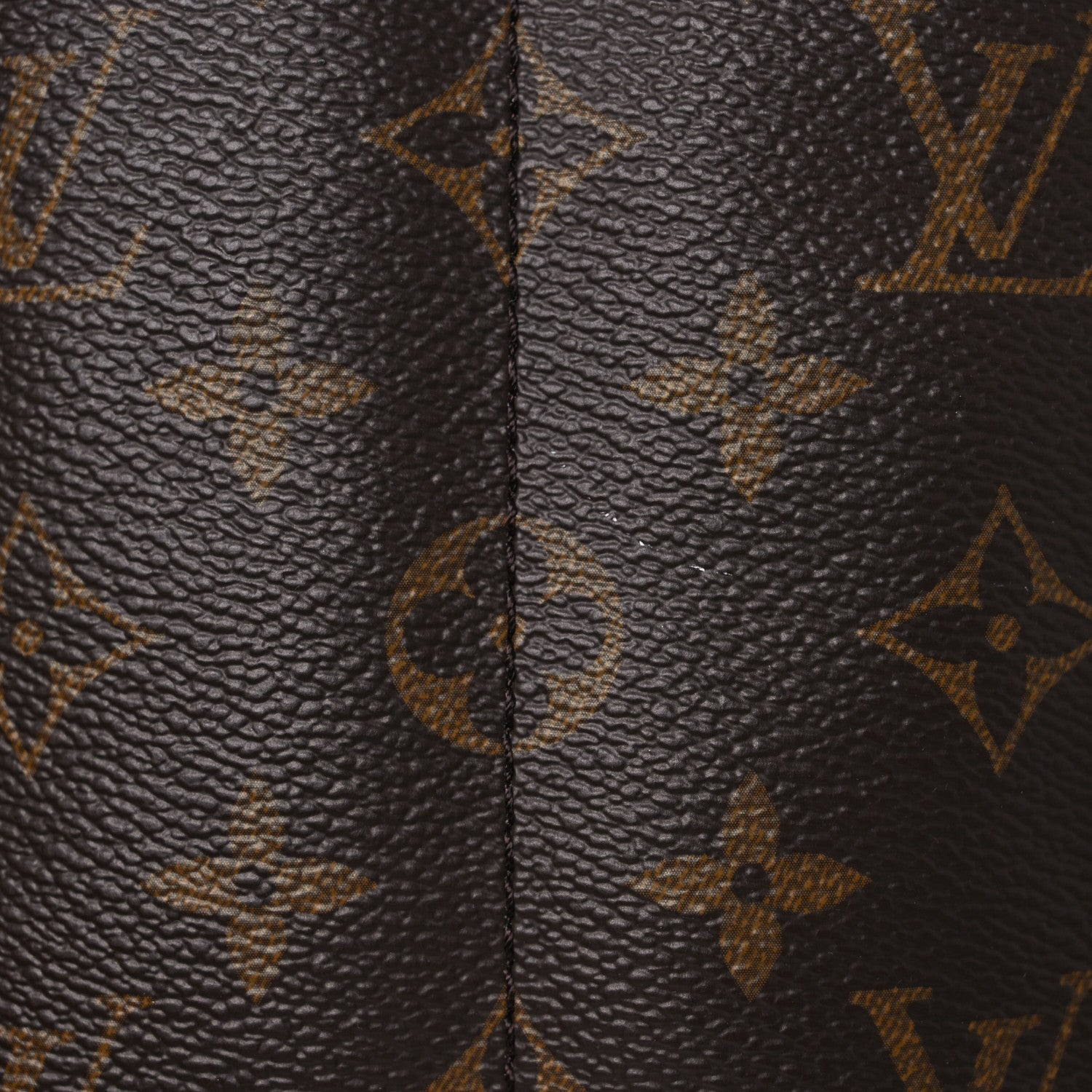 Louis Vuitton Monogram Palm Springs Backpack Mini