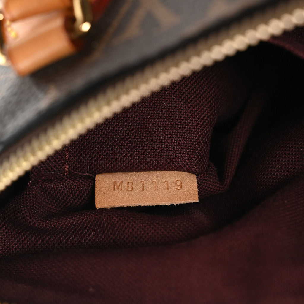 Louis Vuitton Monogram Rivoli PM