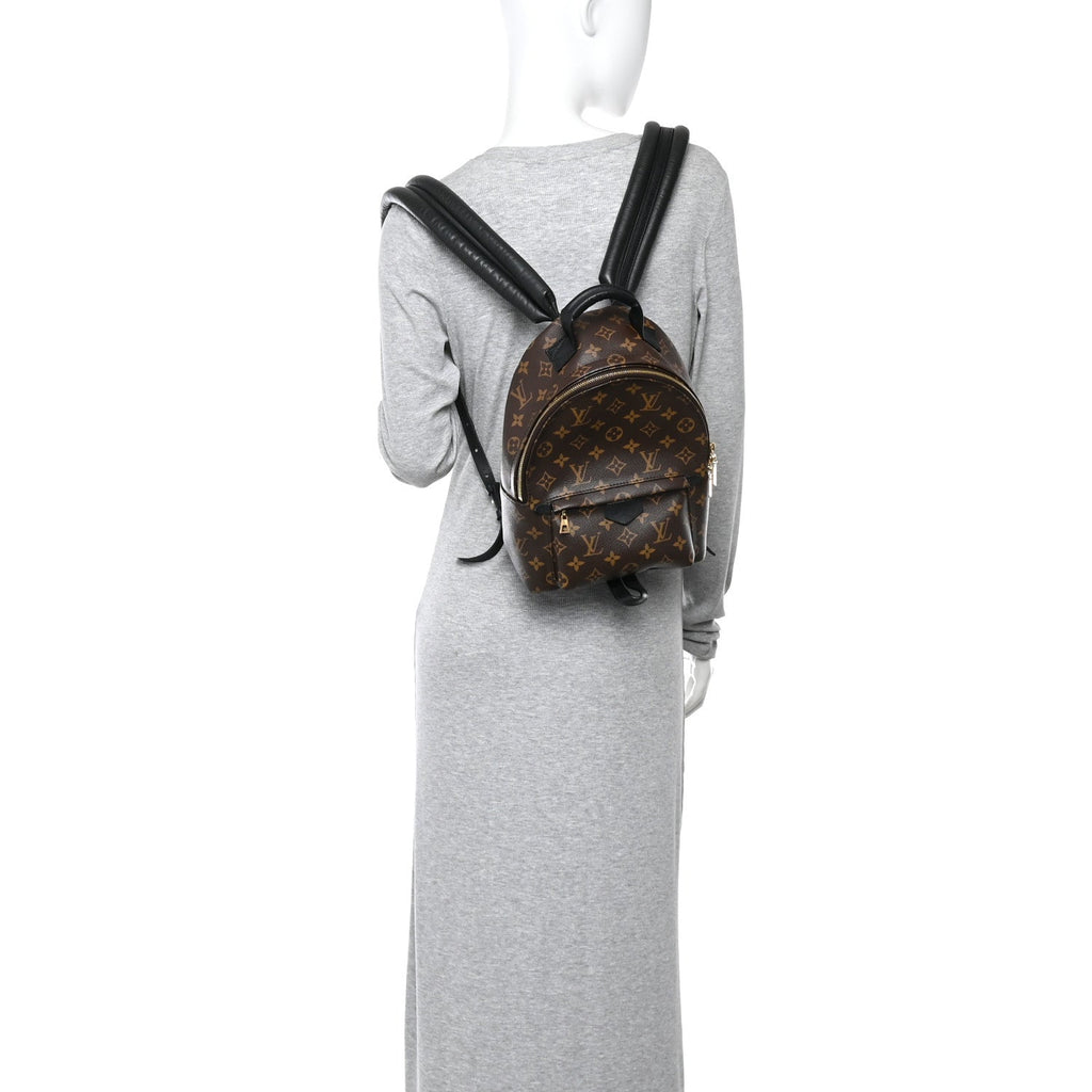 Louis Vuitton Monogram Palm Springs Backpack PM