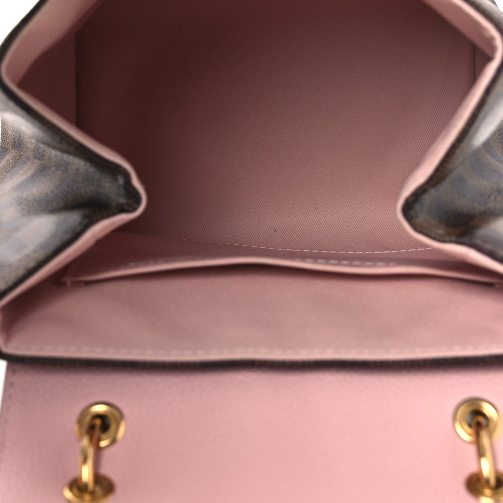 Louis Vuitton Damier Ebene Clapton Backpack Magnolia