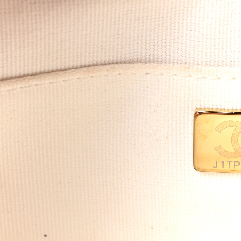Chanel Calfskin Quilted Small Camera Case White