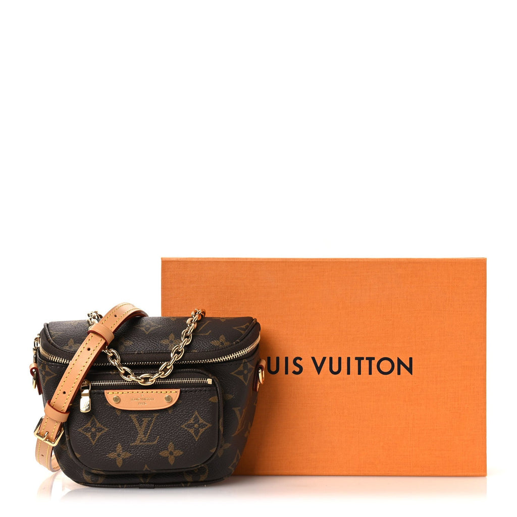 Louis Vuitton Monogram Mini Bumbag