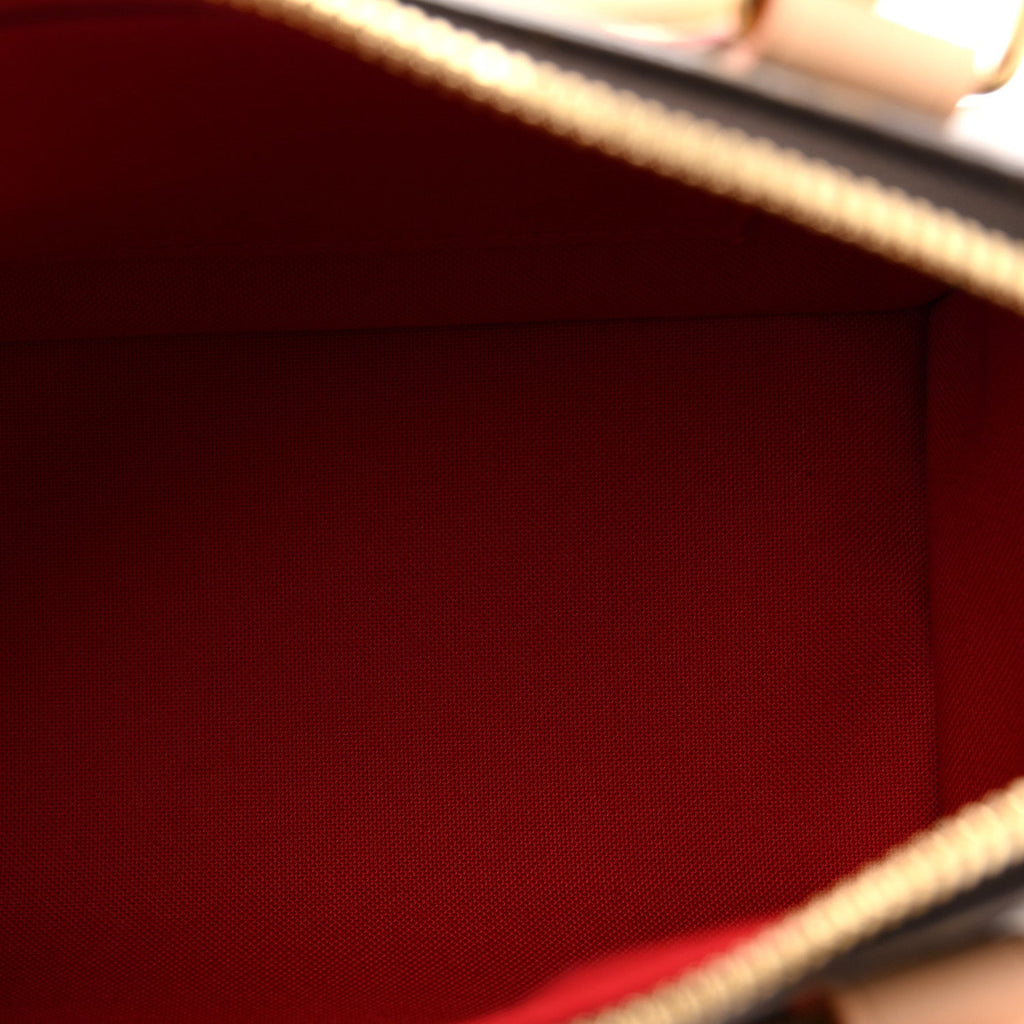 Louis Vuitton Monogram Speedy Bandouliere 20