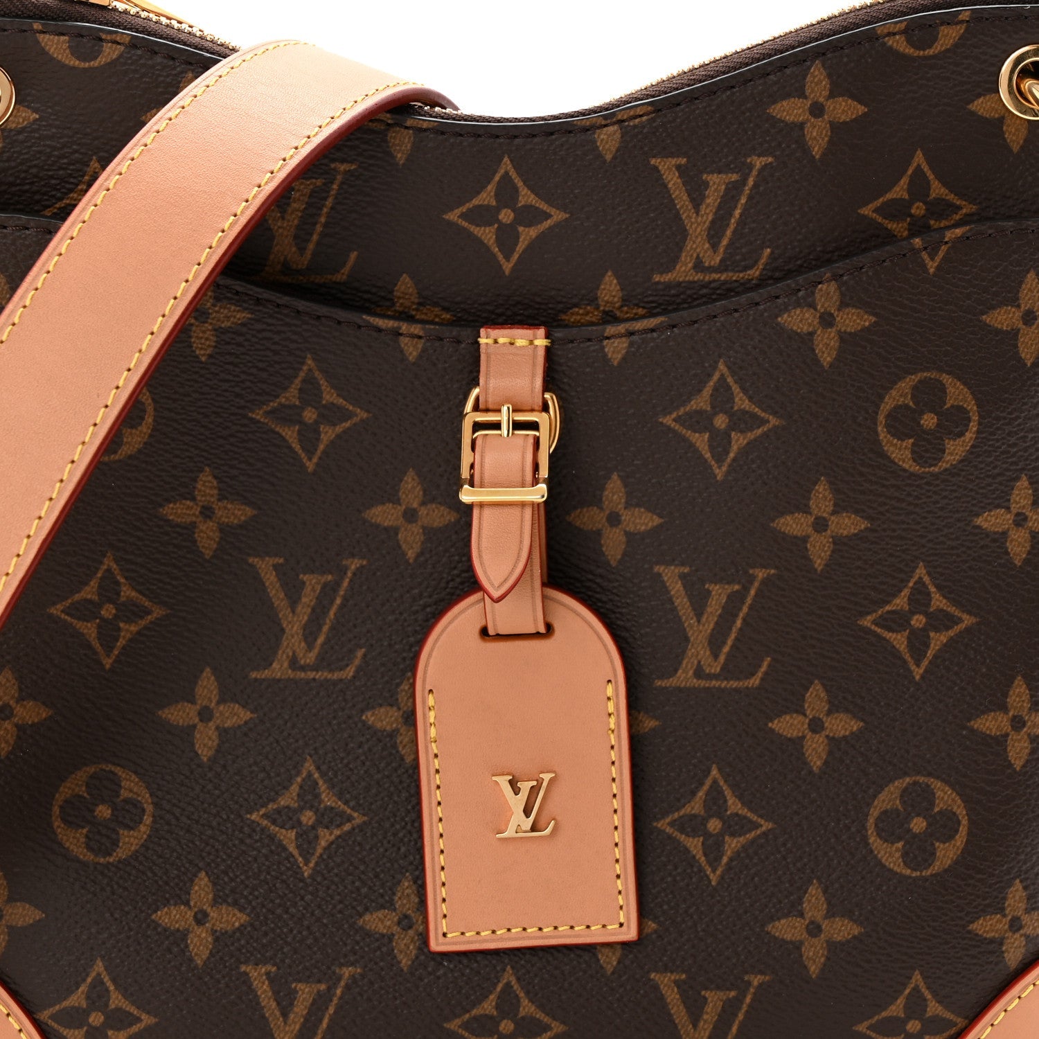 Louis Vuitton Monogram Odeon PM Natural