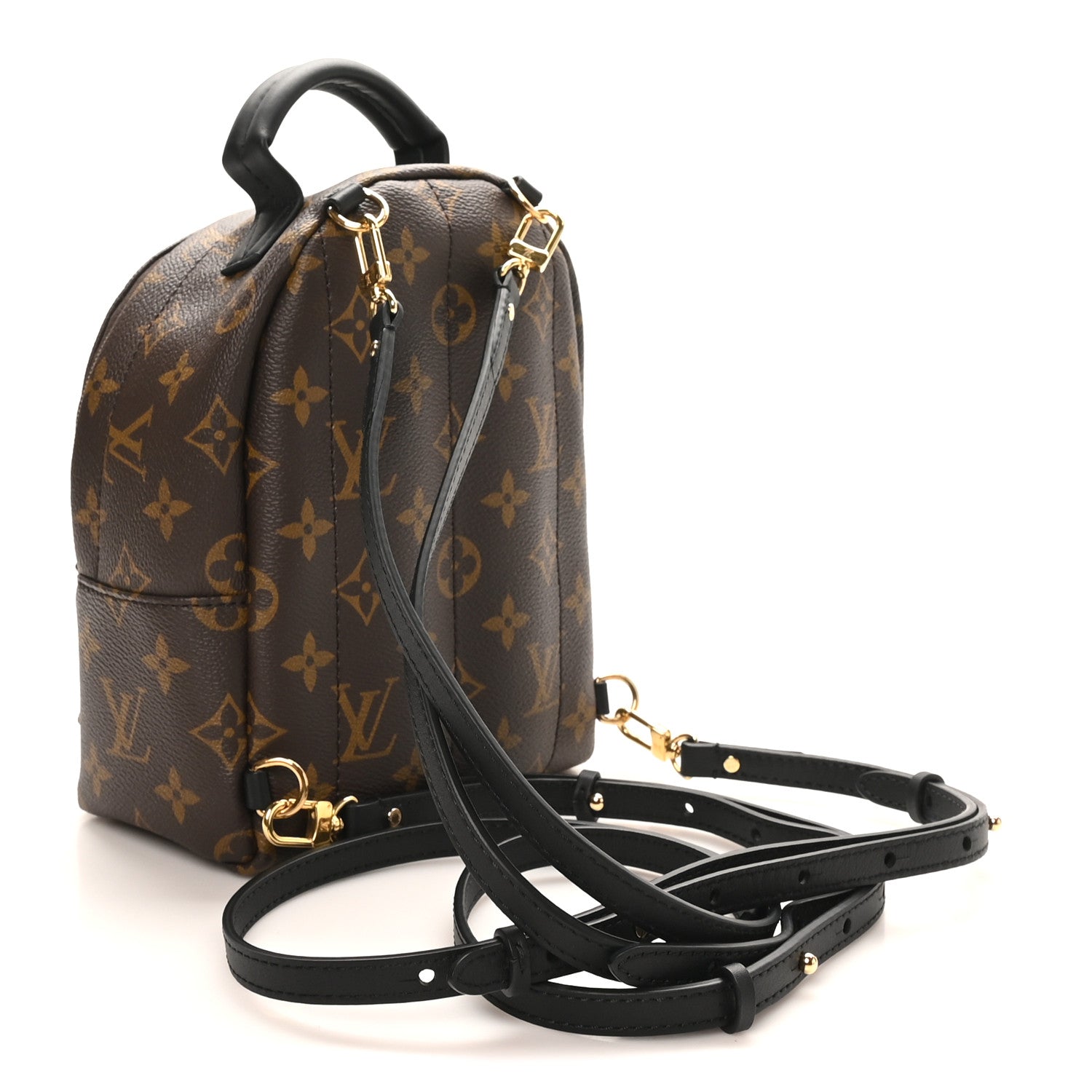 Louis Vuitton Monogram Palm Springs Backpack Mini