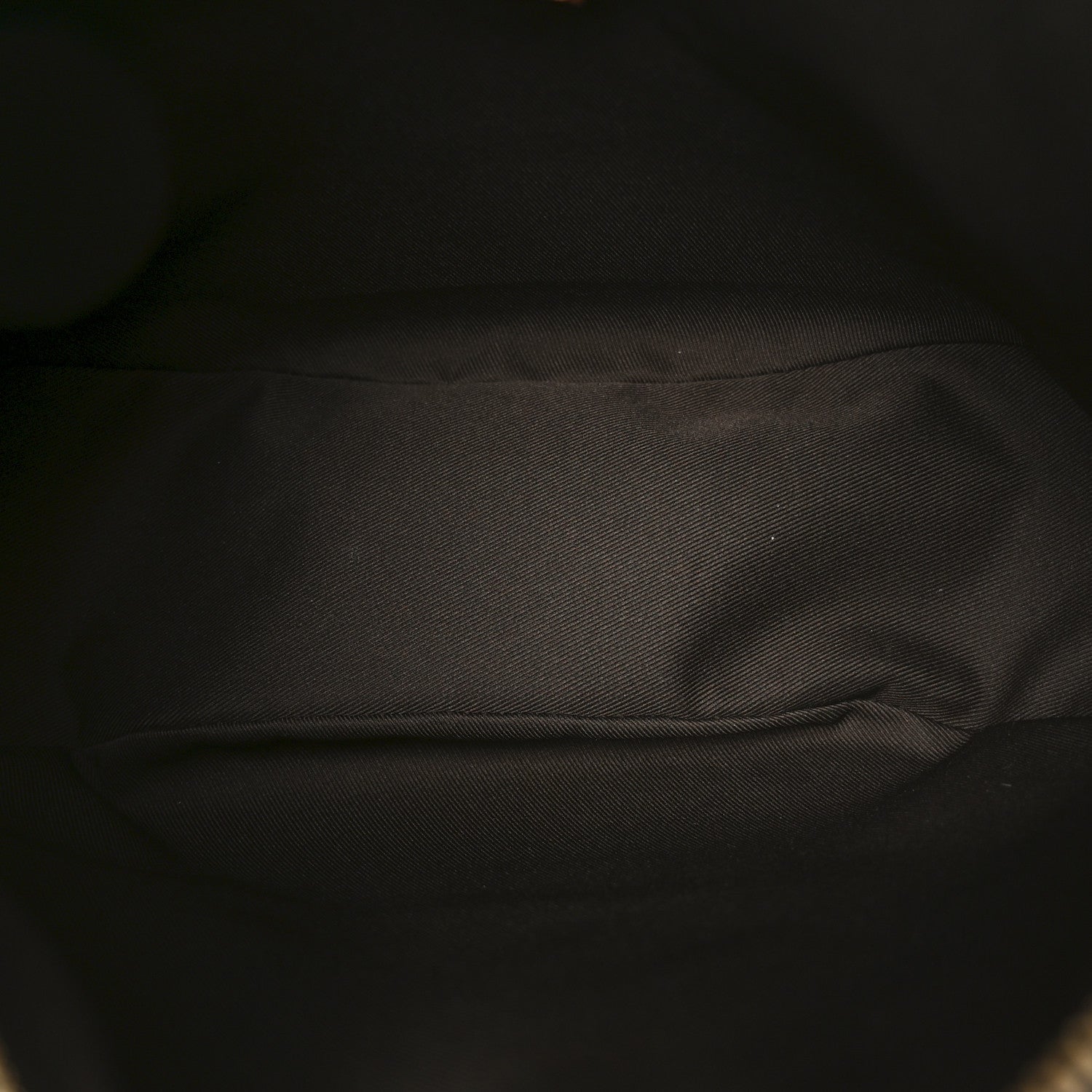 Louis Vuitton Reverse Monogram Loop Hobo