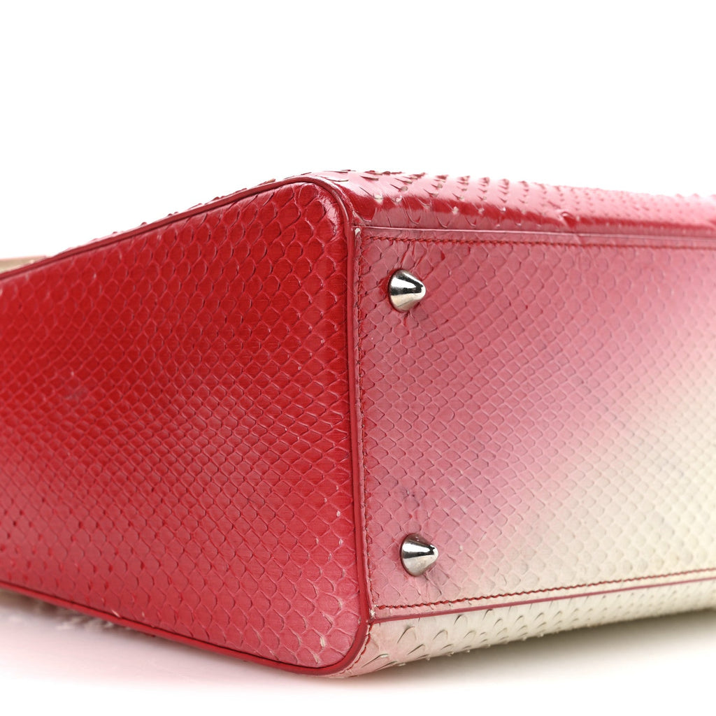 Christian Dior Snakeskin Ombre Medium Lady Dior Red White
