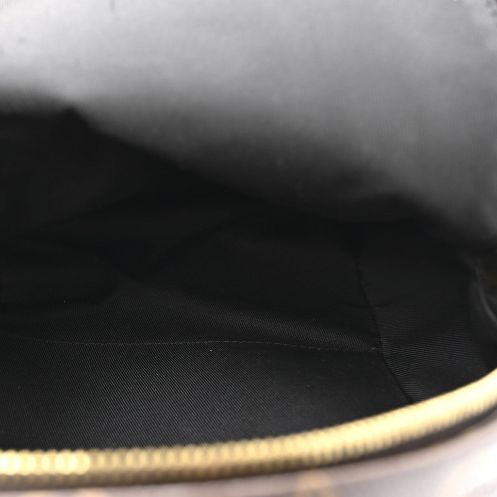 Louis Vuitton Reverse Monogram Palm Springs Backpack PM