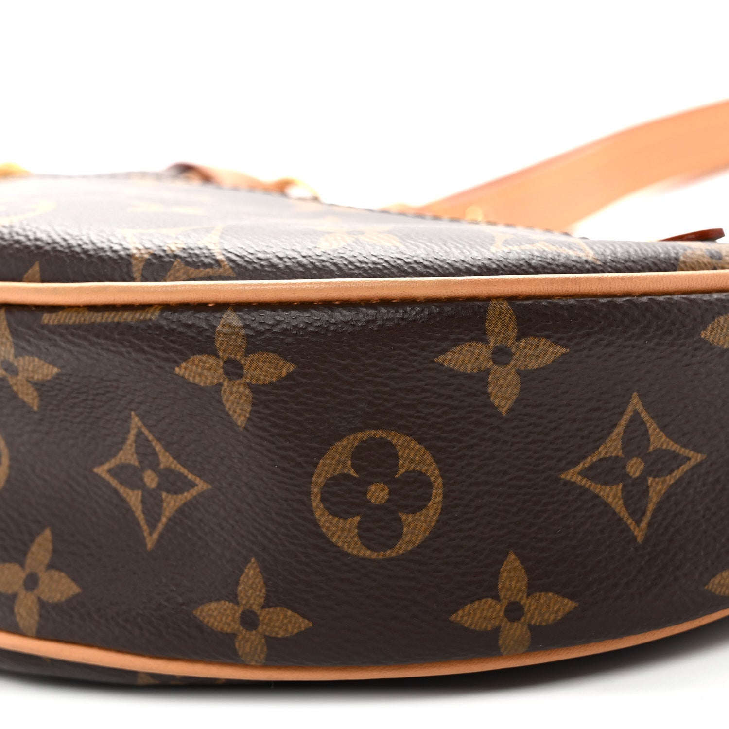 Louis Vuitton Monogram Loop