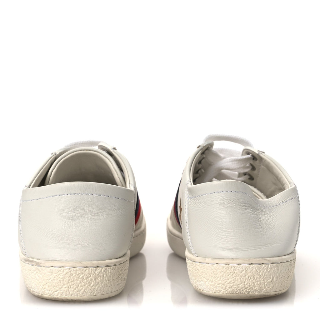 Gucci Calfskin Bee Star Embroidered Sylvie Web Ace Sneakers 35.5 White