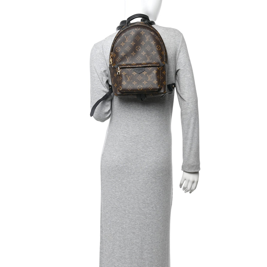 Louis Vuitton Monogram Palm Springs Backpack PM