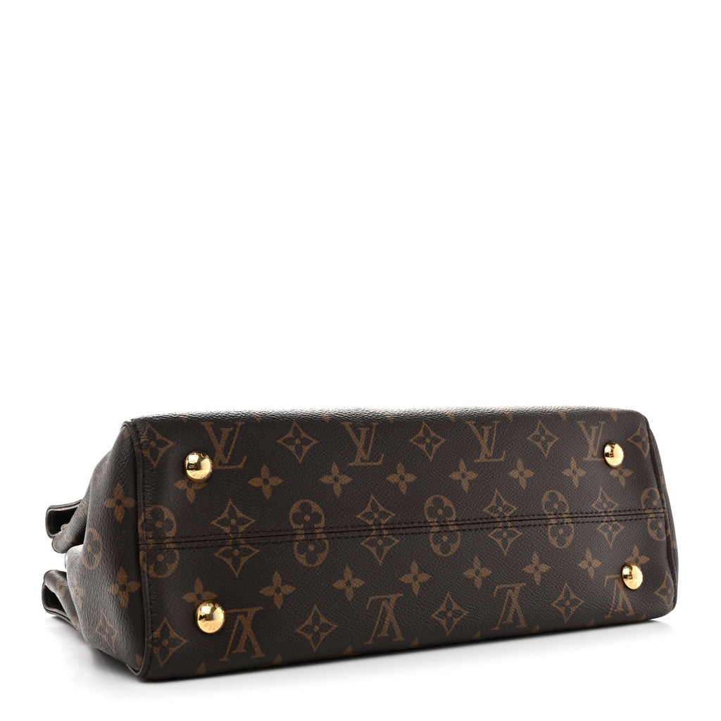 Louis Vuitton Monogram Venus Raisin