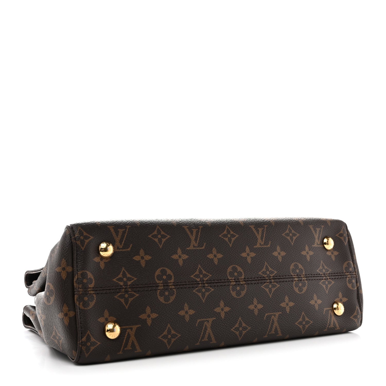 Louis Vuitton Monogram Venus Raisin
