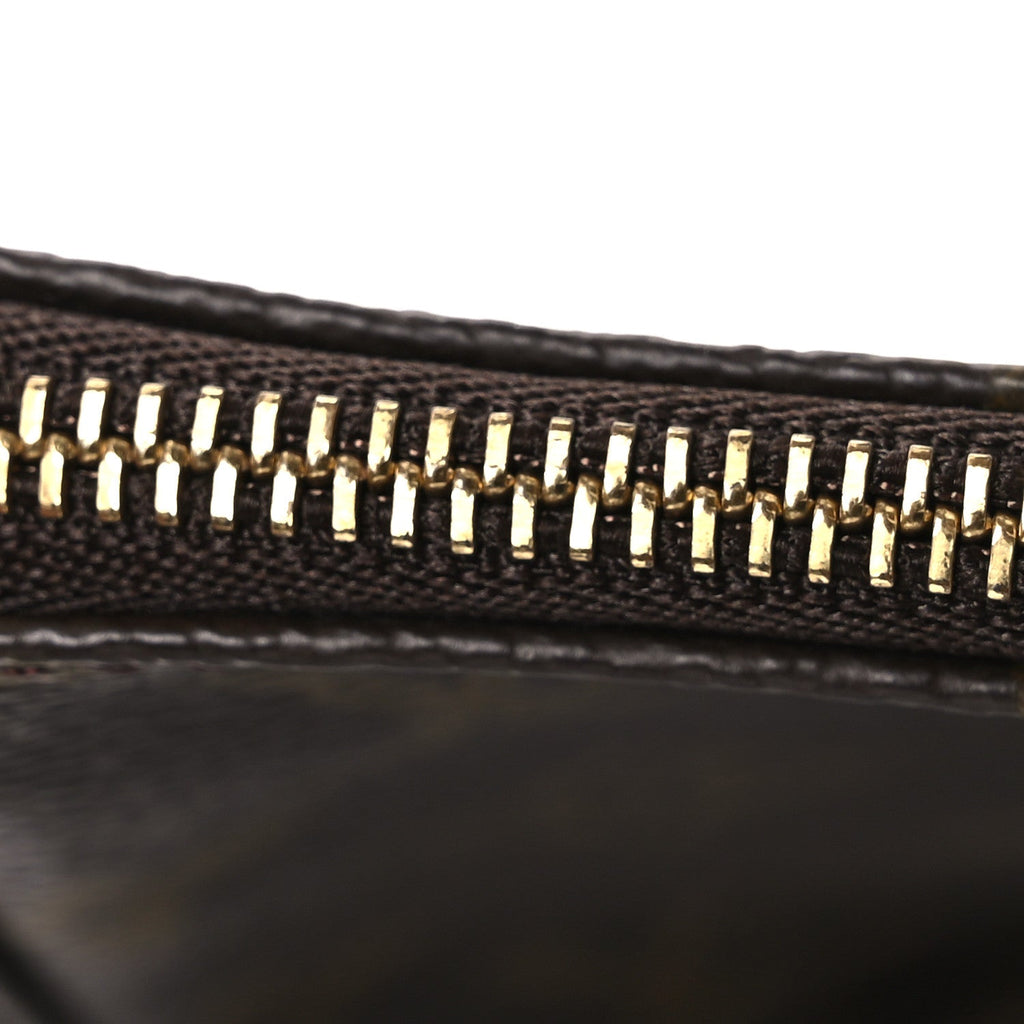 Louis Vuitton Monogram Pochette Accessories