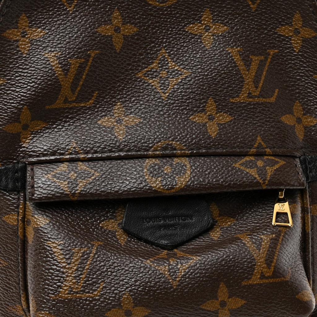 Louis Vuitton Monogram Palm Springs Backpack Mini
