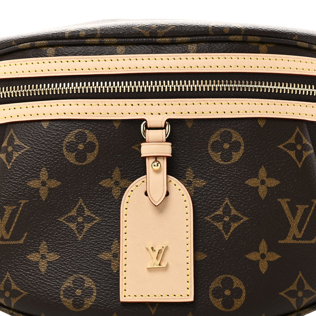 Louis Vuitton Monogram High Rise Bumbag