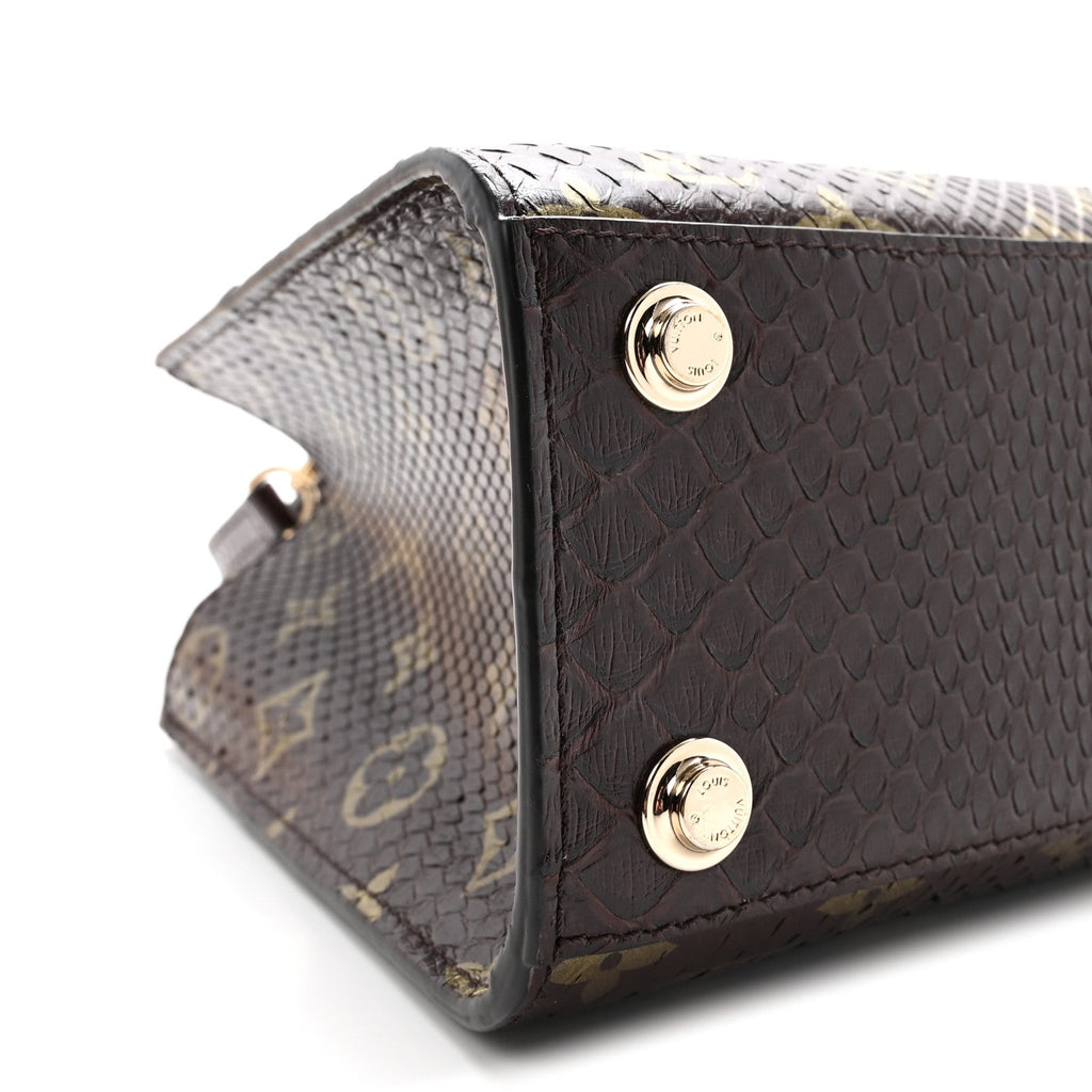 Louis Vuitton Snakeskin Monogram City Steamer Mini Brown
