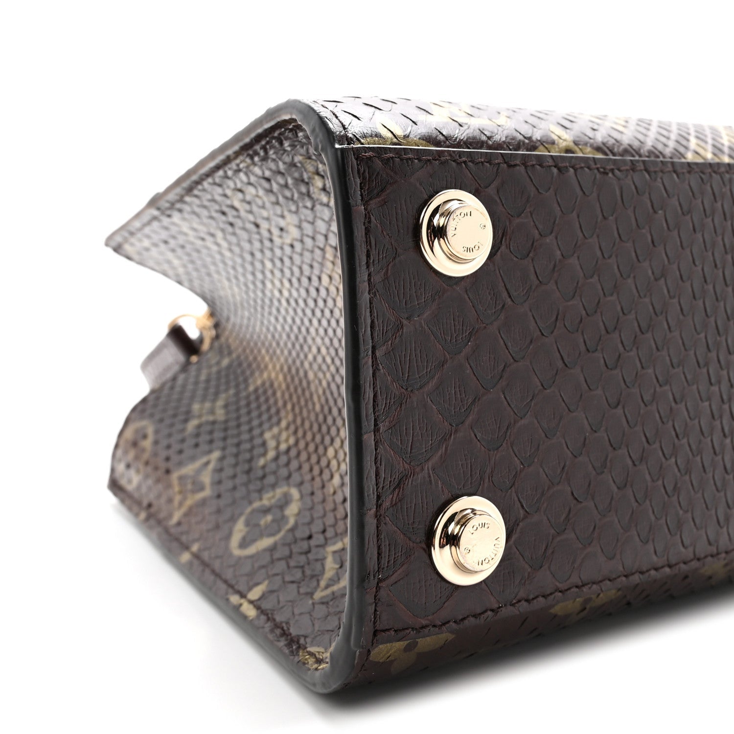 Louis Vuitton Snakeskin Monogram City Steamer Mini Brown