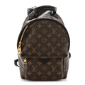 Louis Vuitton Monogram Palm Springs Backpack PM