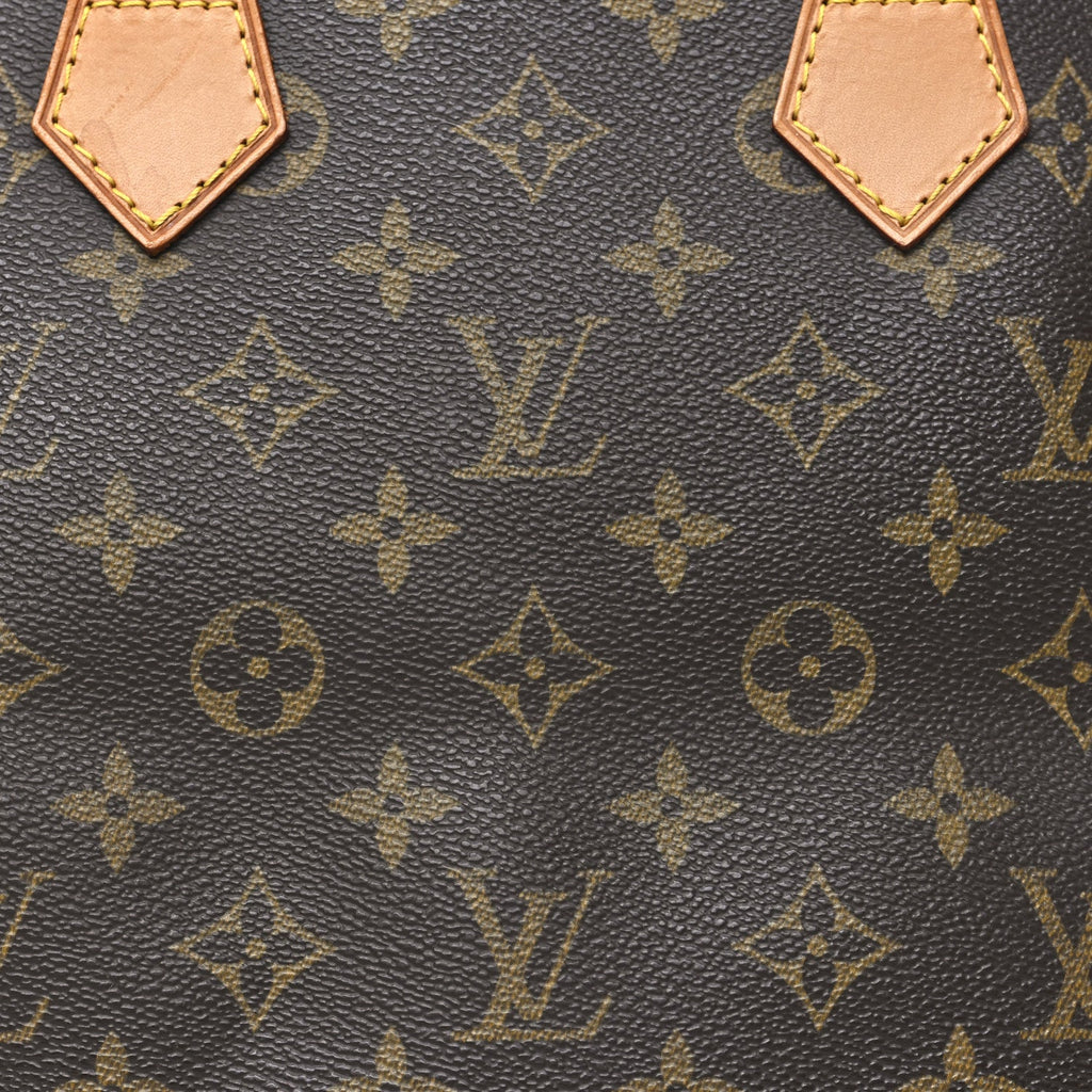 Louis Vuitton Monogram Alma PM