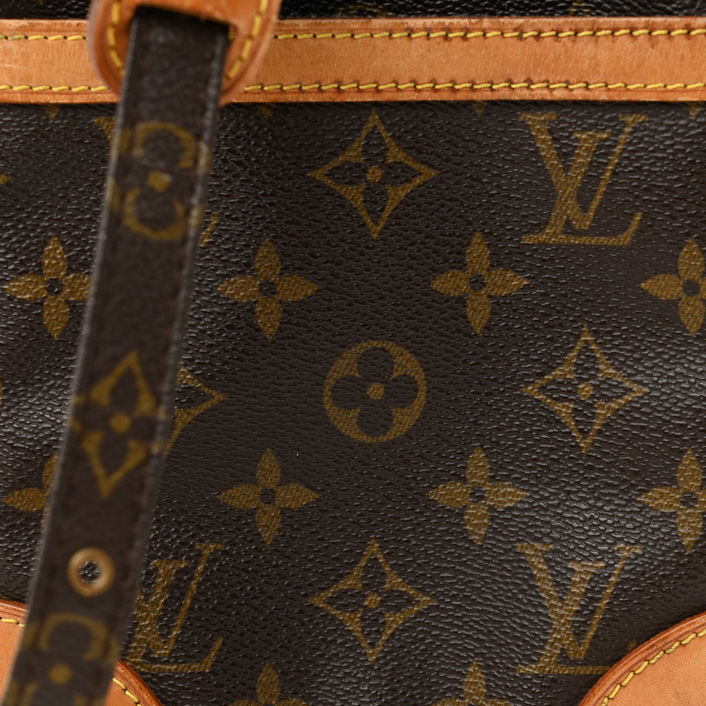 Louis Vuitton Monogram Danube 21