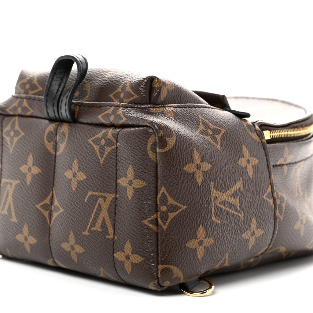 Louis Vuitton Monogram Palm Springs Backpack Mini