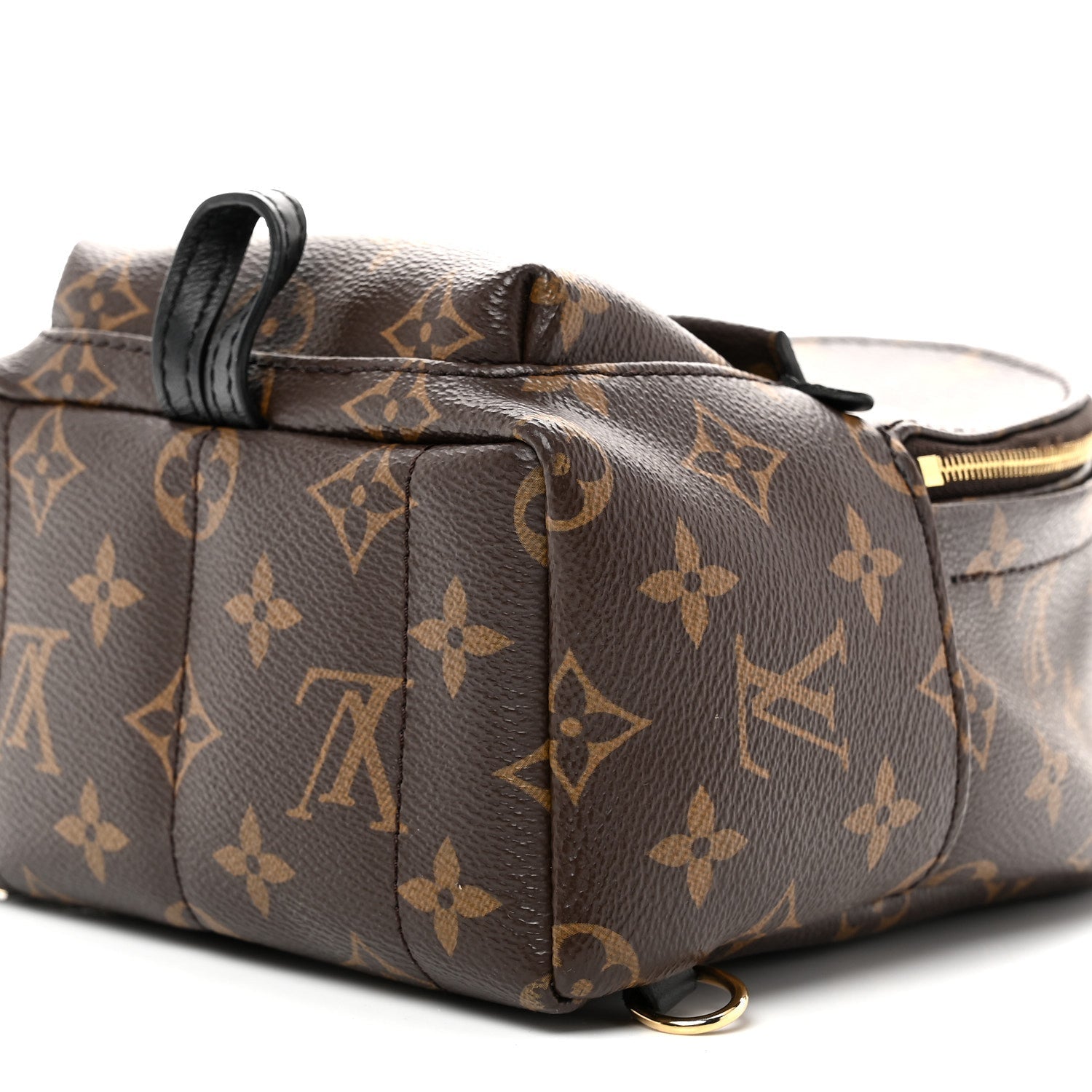 Louis Vuitton Monogram Palm Springs Backpack Mini