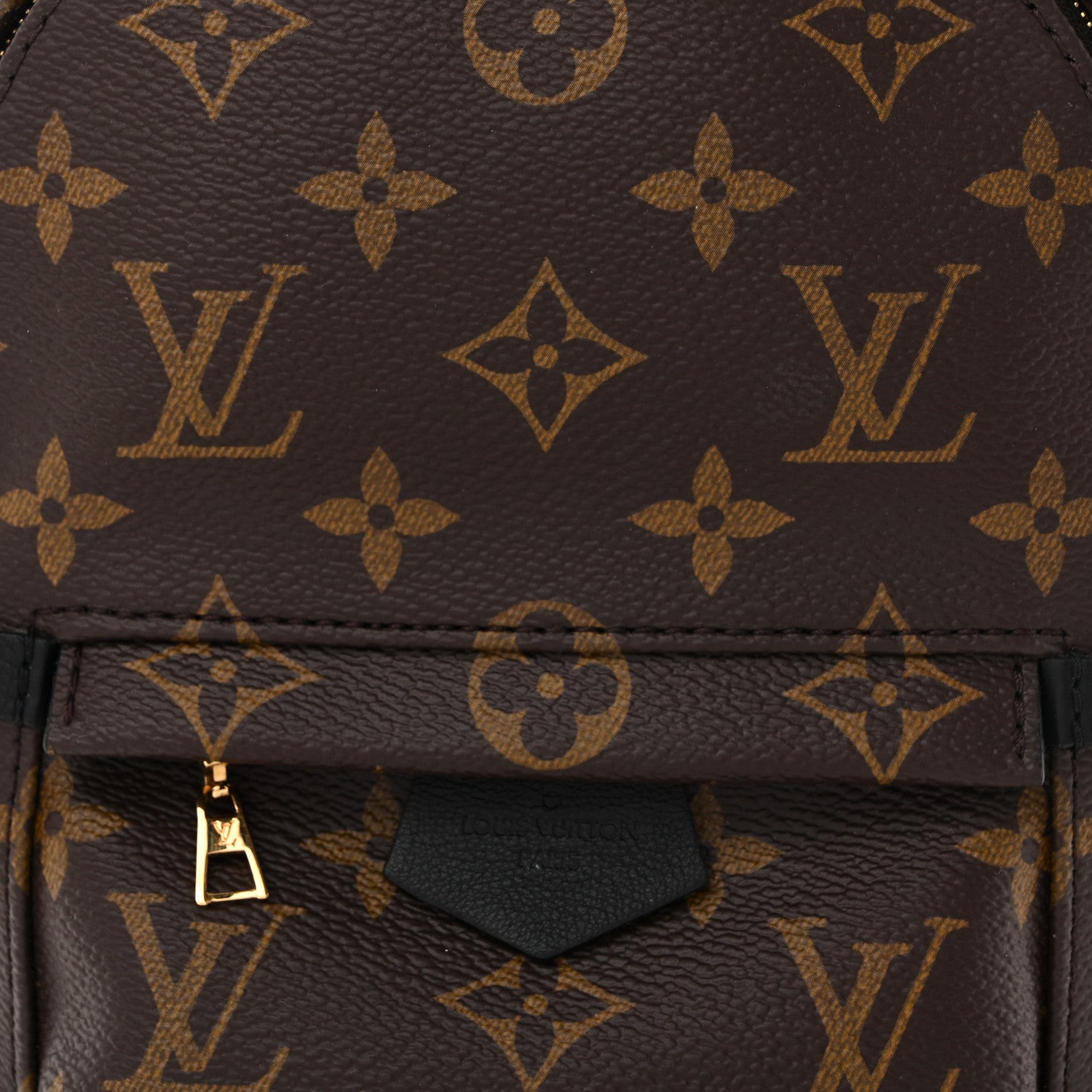 Louis Vuitton Monogram Palm Springs Backpack Mini