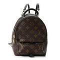 Louis Vuitton Monogram Palm Springs Backpack Mini