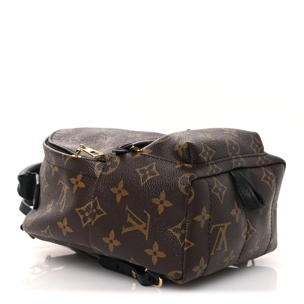 Louis Vuitton Monogram Palm Springs Backpack Mini