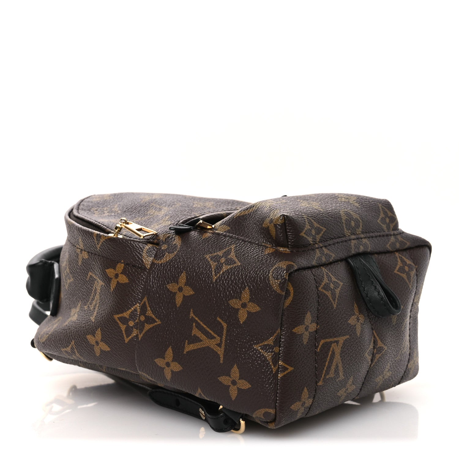 Louis Vuitton Monogram Palm Springs Backpack Mini