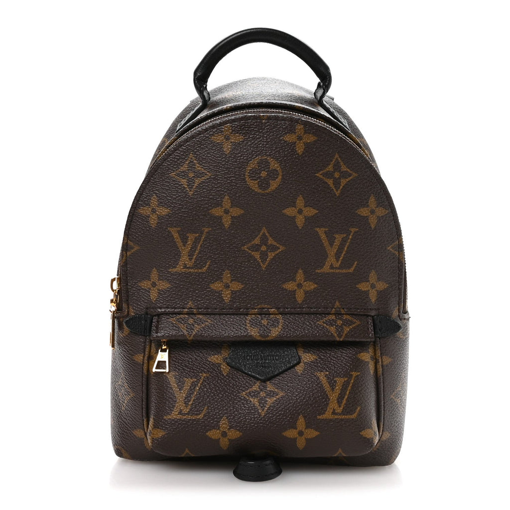 Louis Vuitton Monogram Palm Springs Backpack Mini