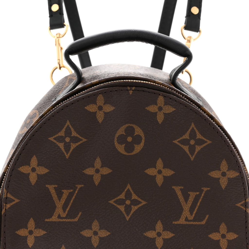 Louis Vuitton Monogram Palm Springs Backpack Mini