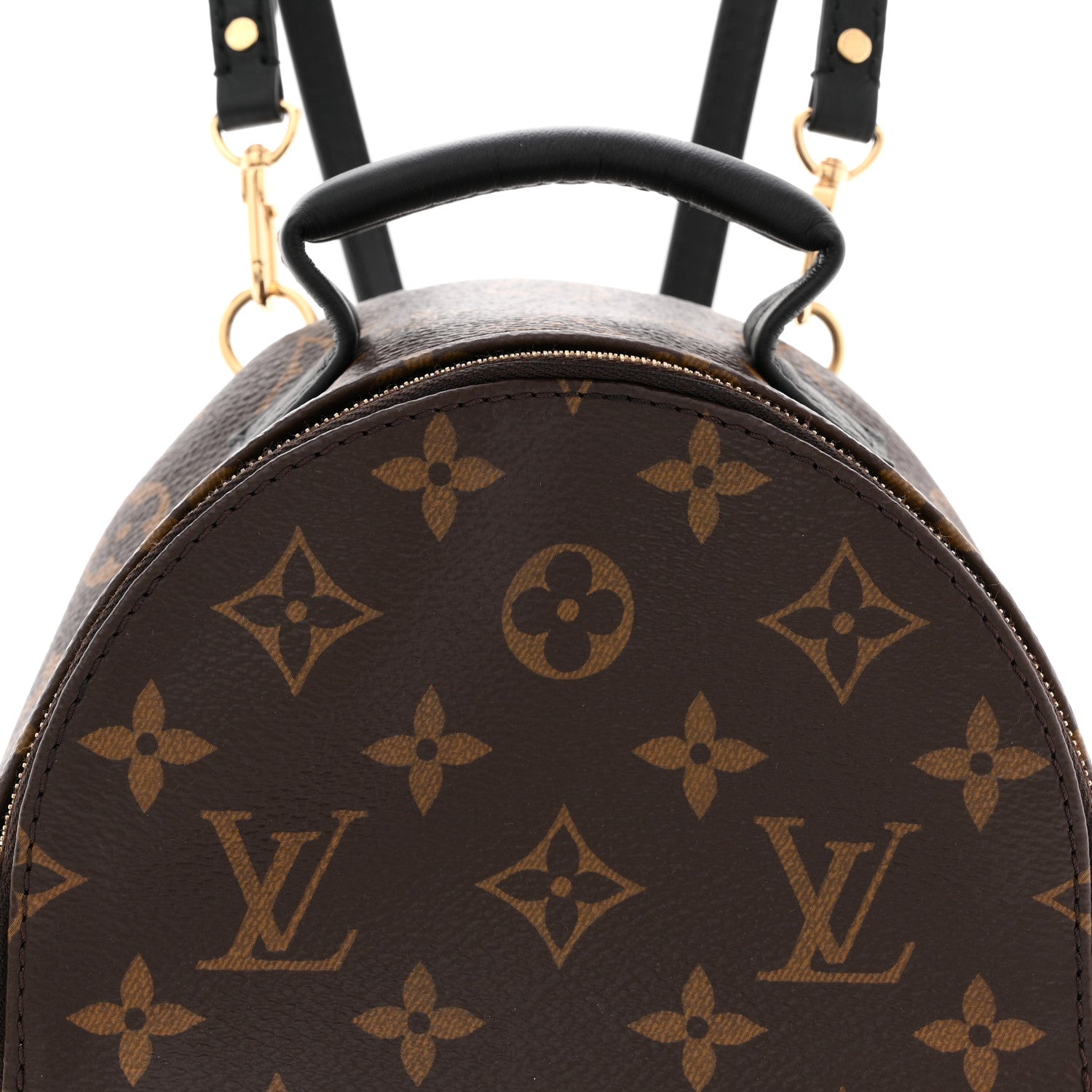Louis Vuitton Monogram Palm Springs Backpack Mini