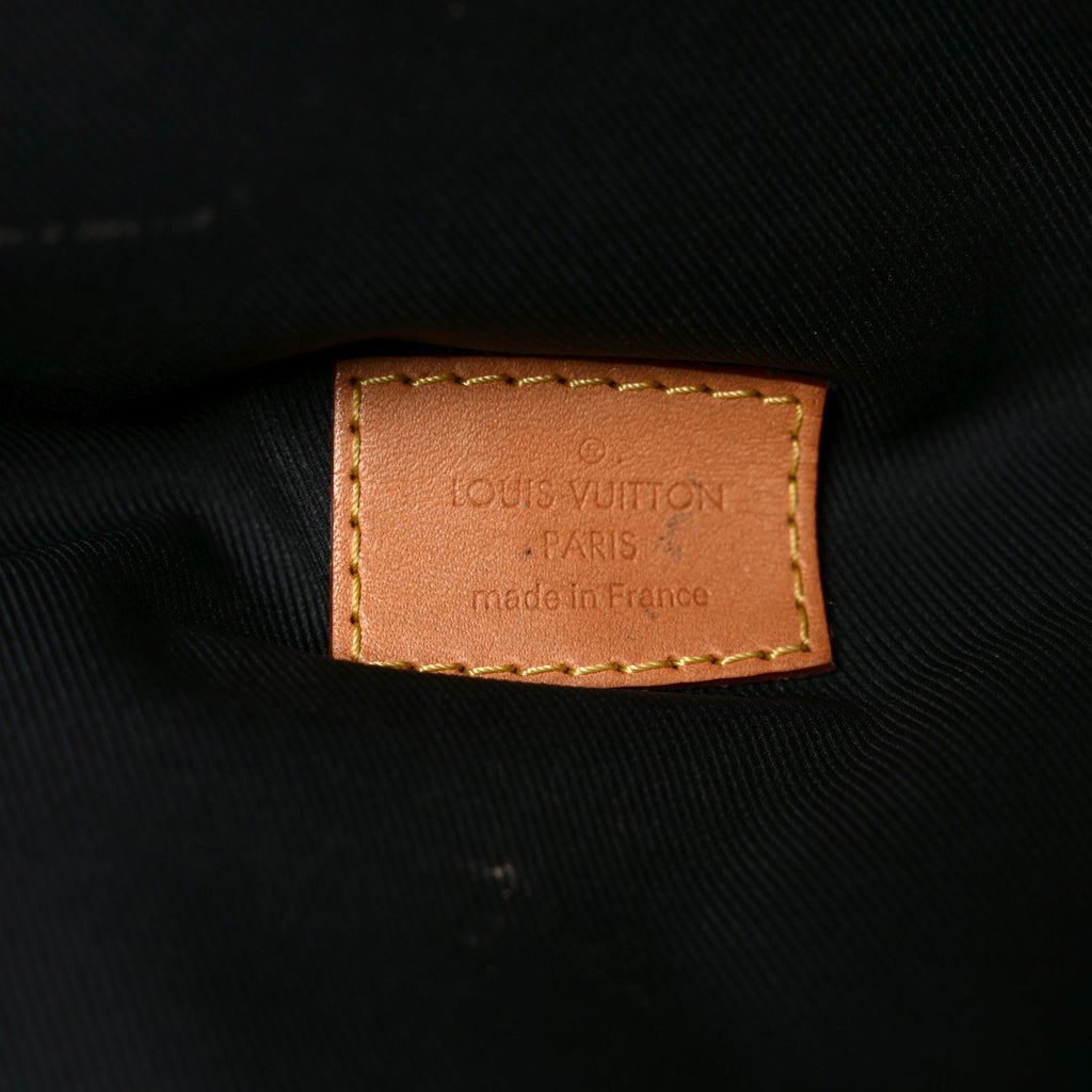 Louis Vuitton Monogram My LV World Tour Bumbag