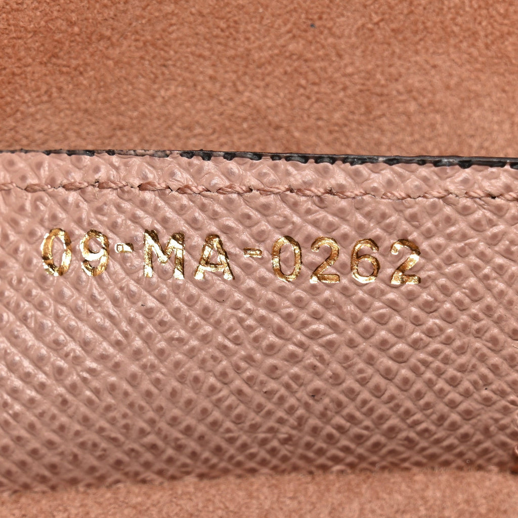 Christian Dior Grained Calfskin Saddle Bag Fard