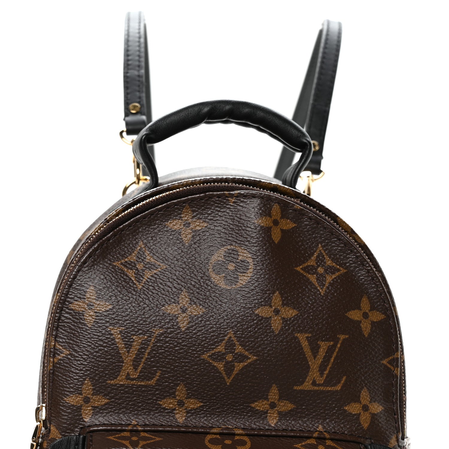 Louis Vuitton Monogram Palm Springs Backpack Mini