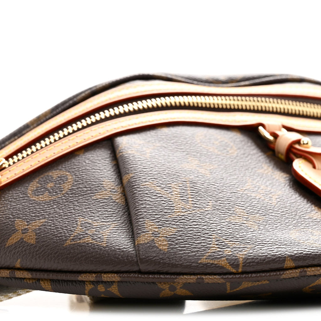 Louis Vuitton Monogram High Rise Bumbag