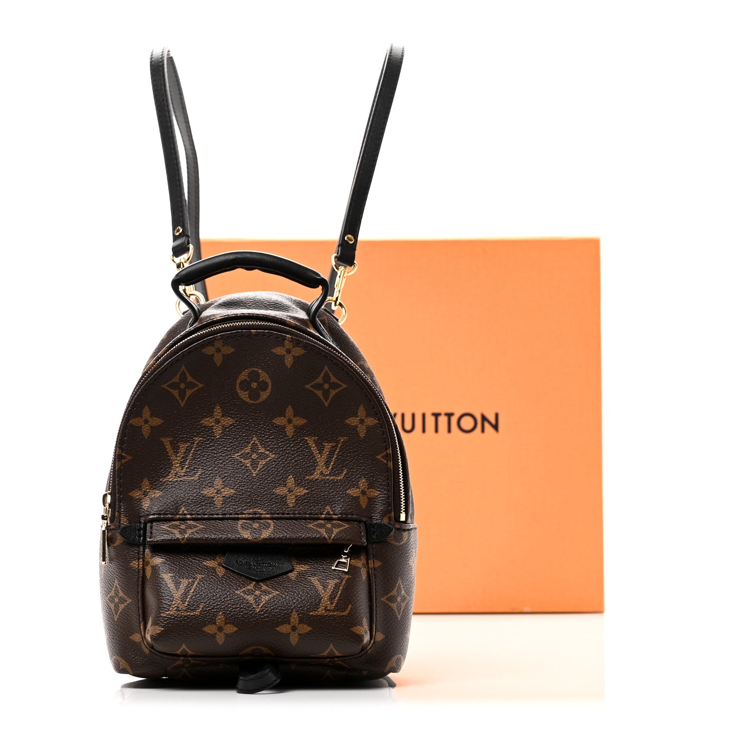Louis Vuitton Monogram Palm Springs Backpack Mini