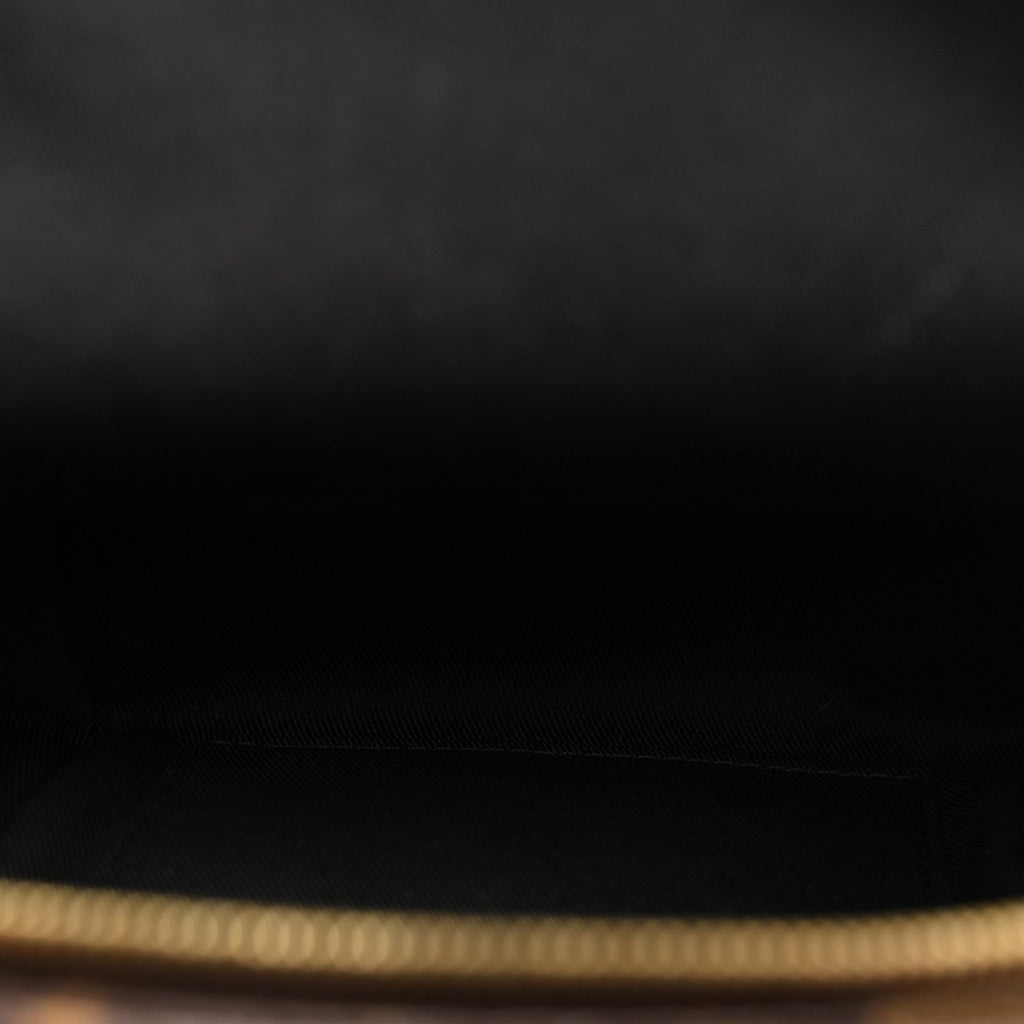 Louis Vuitton Monogram Palm Springs Backpack Mini