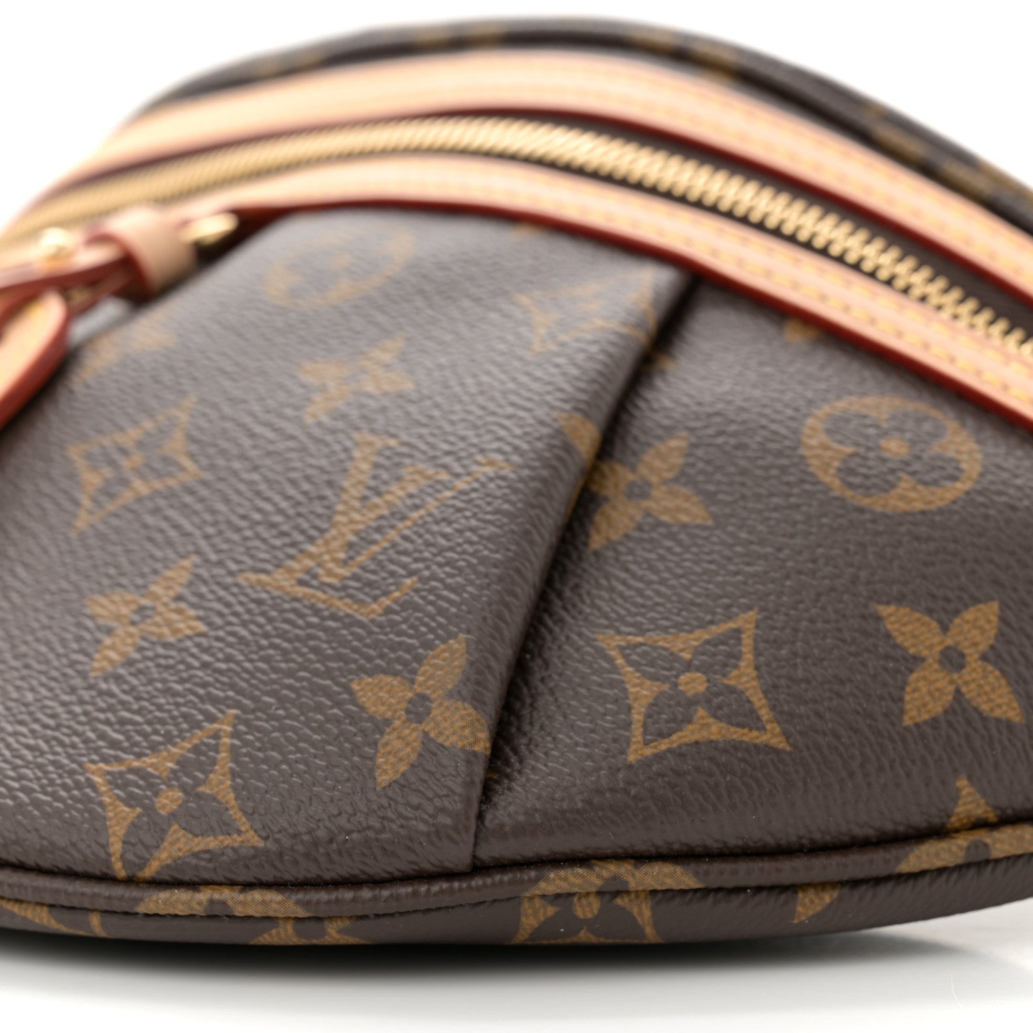 Louis Vuitton Monogram High Rise Bumbag