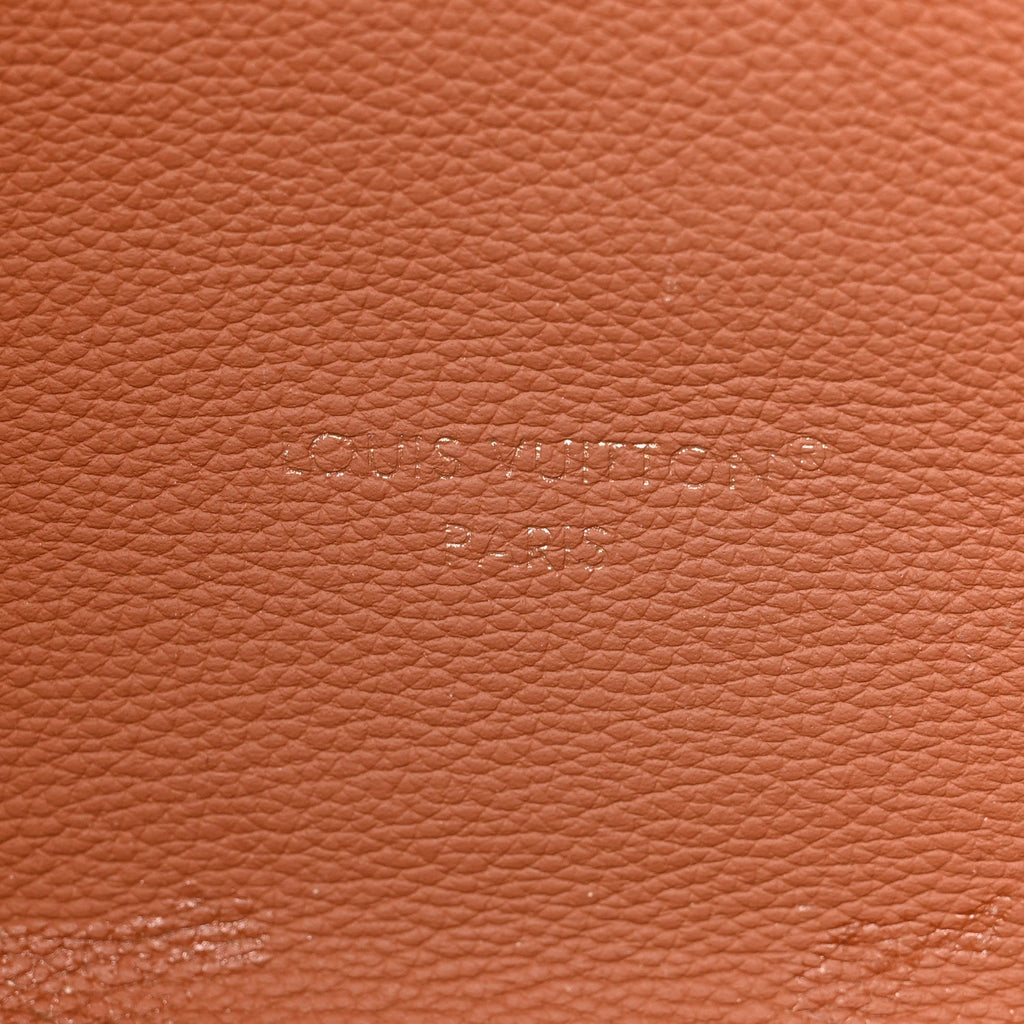 Louis Vuitton Monogram Calfskin Neo Neverfull Inside Out MM Tan