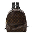 Louis Vuitton Monogram Palm Springs Backpack MM