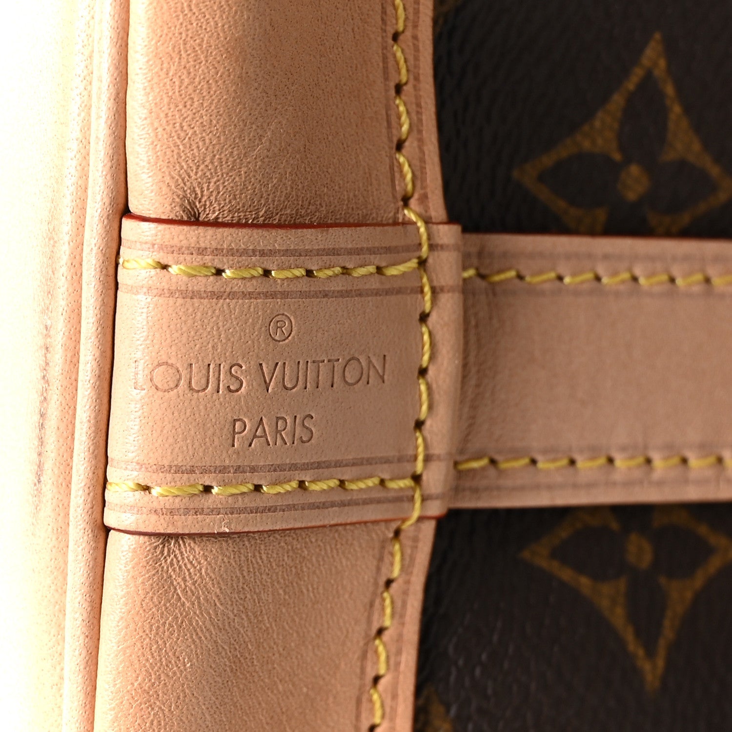 Louis Vuitton Monogram Petit Noe NM