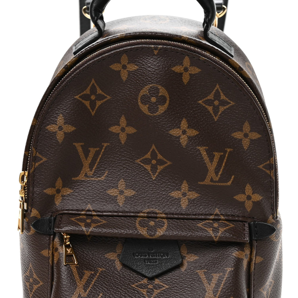 Louis Vuitton Monogram Palm Springs Backpack Mini
