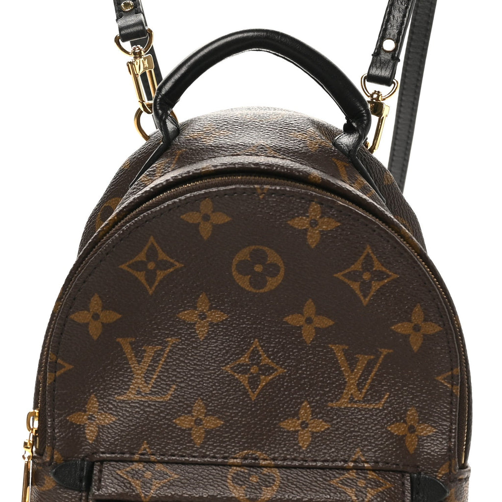 Louis Vuitton Monogram Palm Springs Backpack Mini