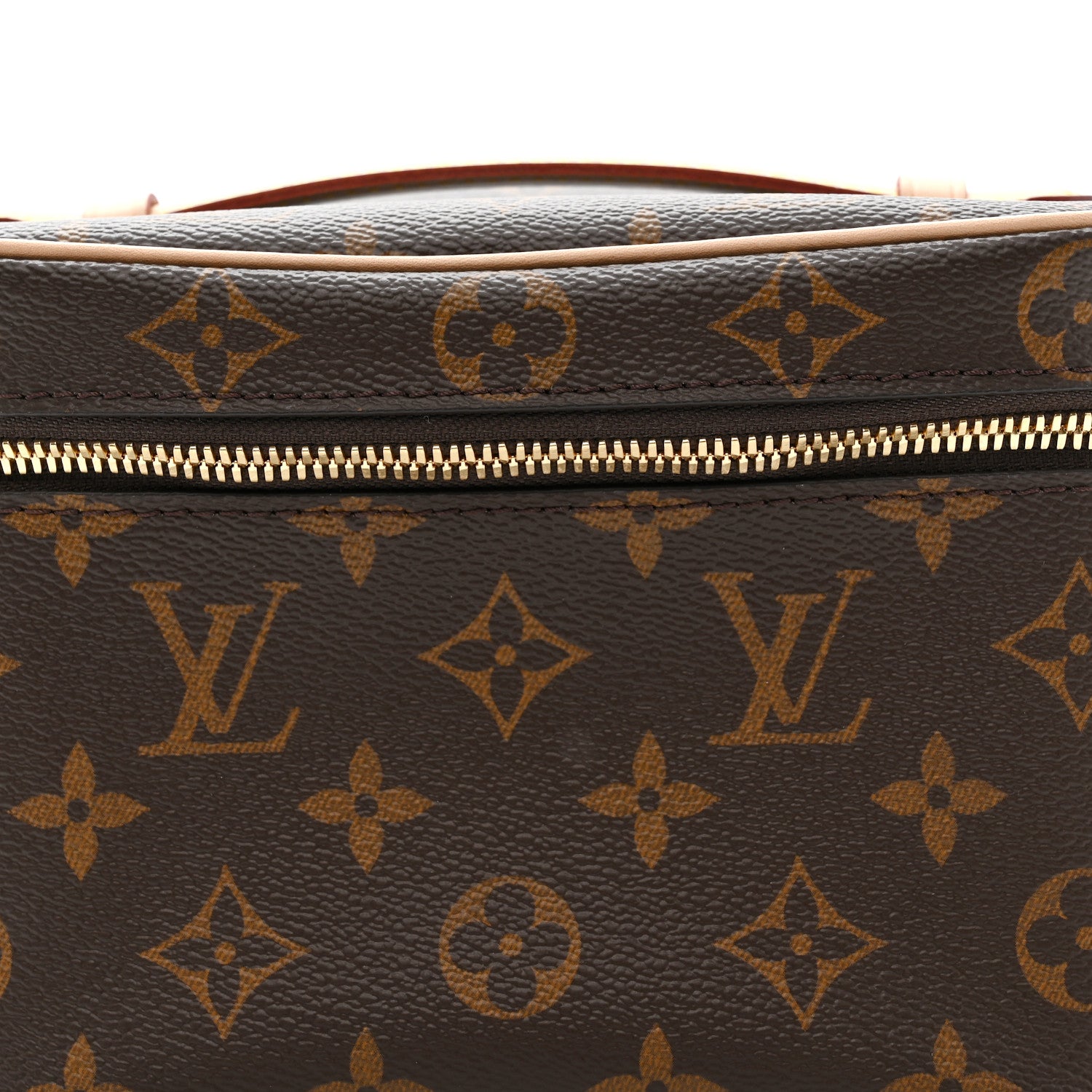 Louis Vuitton Monogram Nice Mini