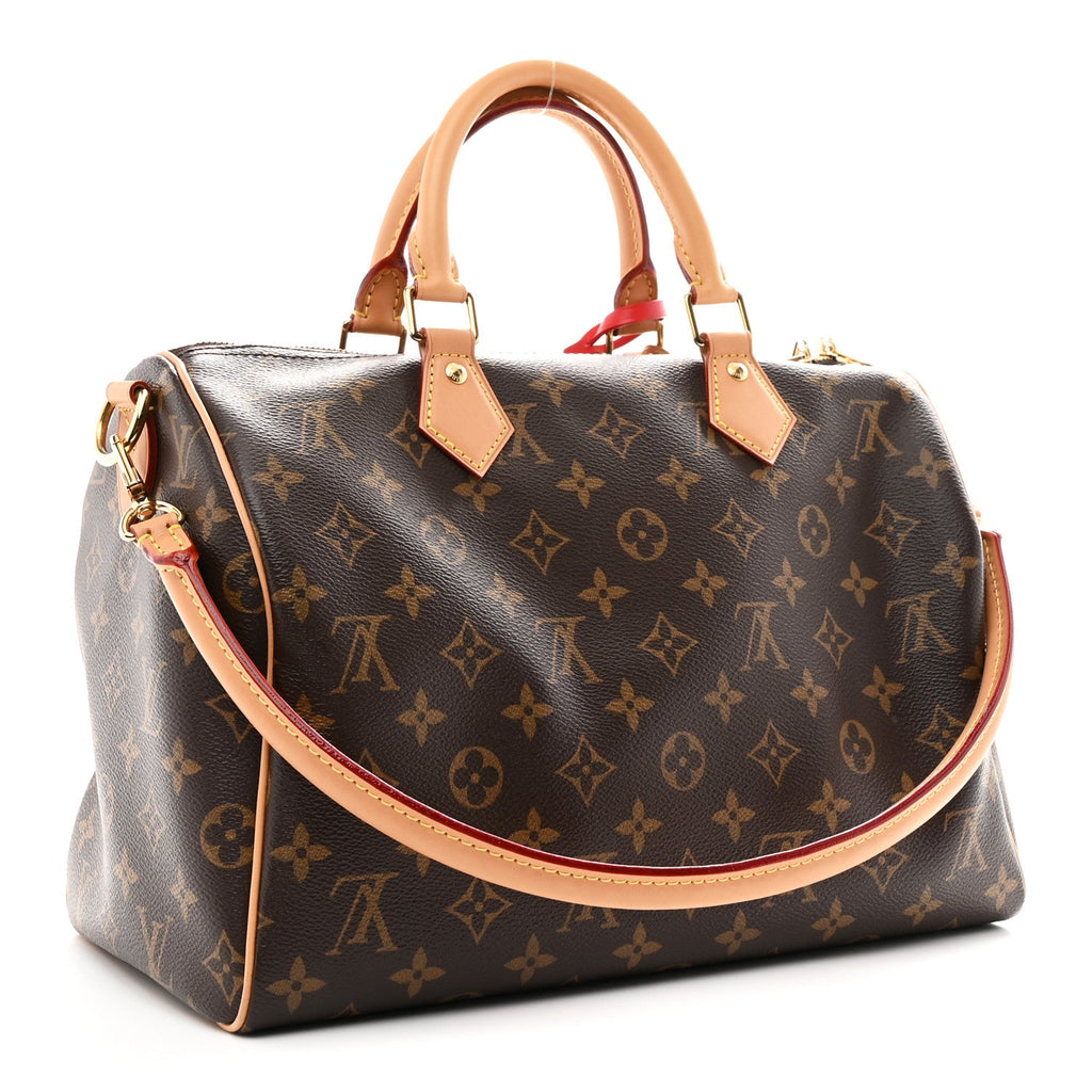 Louis Vuitton Monogram Speedy Soft Crafty 30
