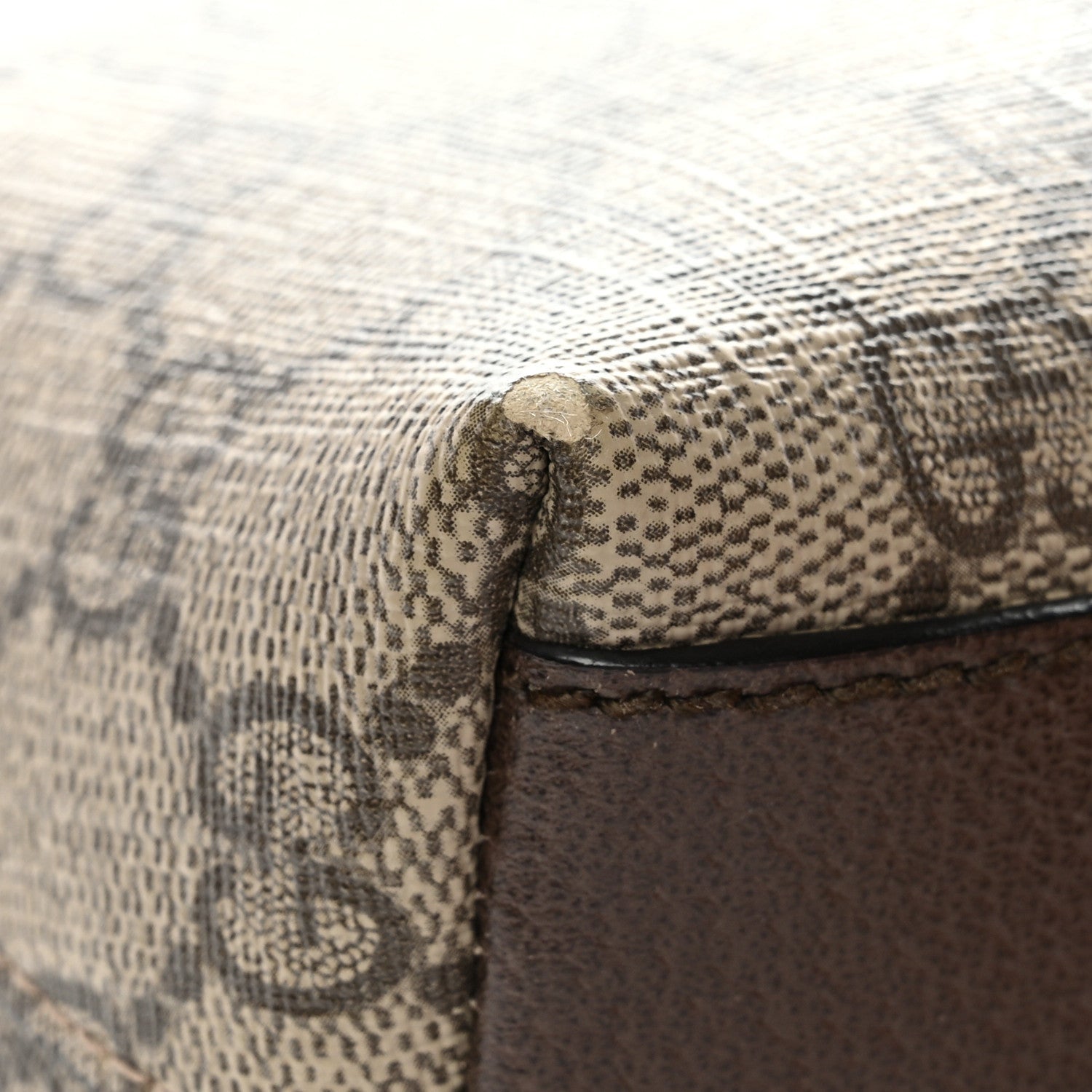 Gucci GG Supreme Monogram Textured Dollar Calfskin Web Small Ophidia Dome Shoulder Bag Beige Ebony New Acero