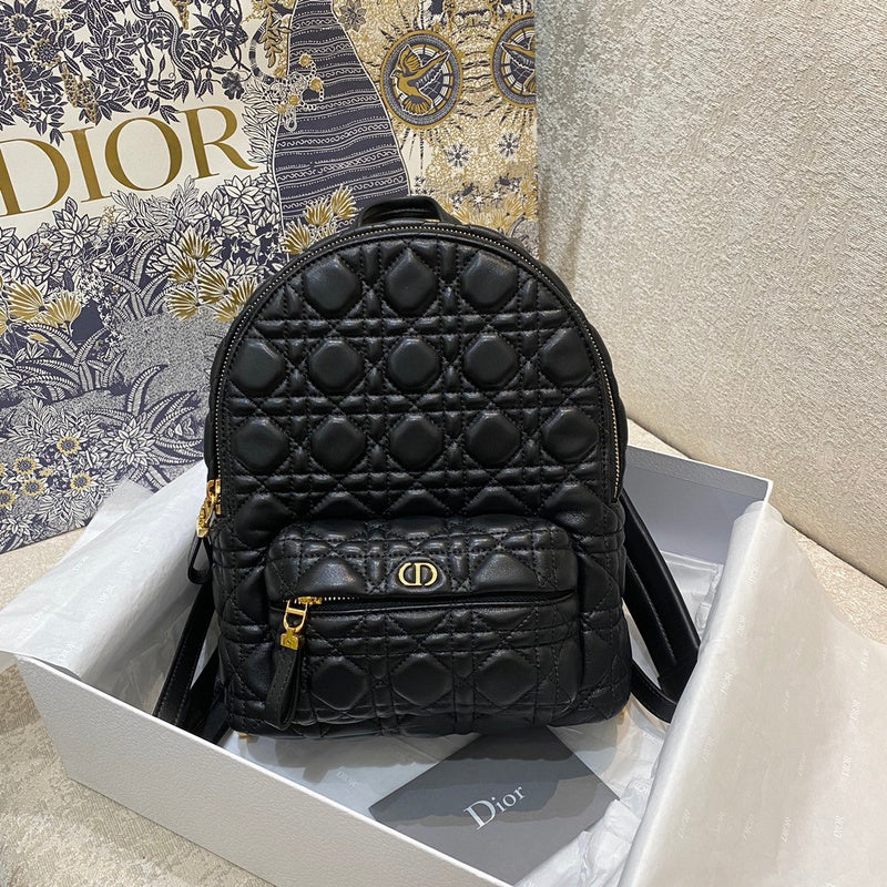 Dior Bags - 5918